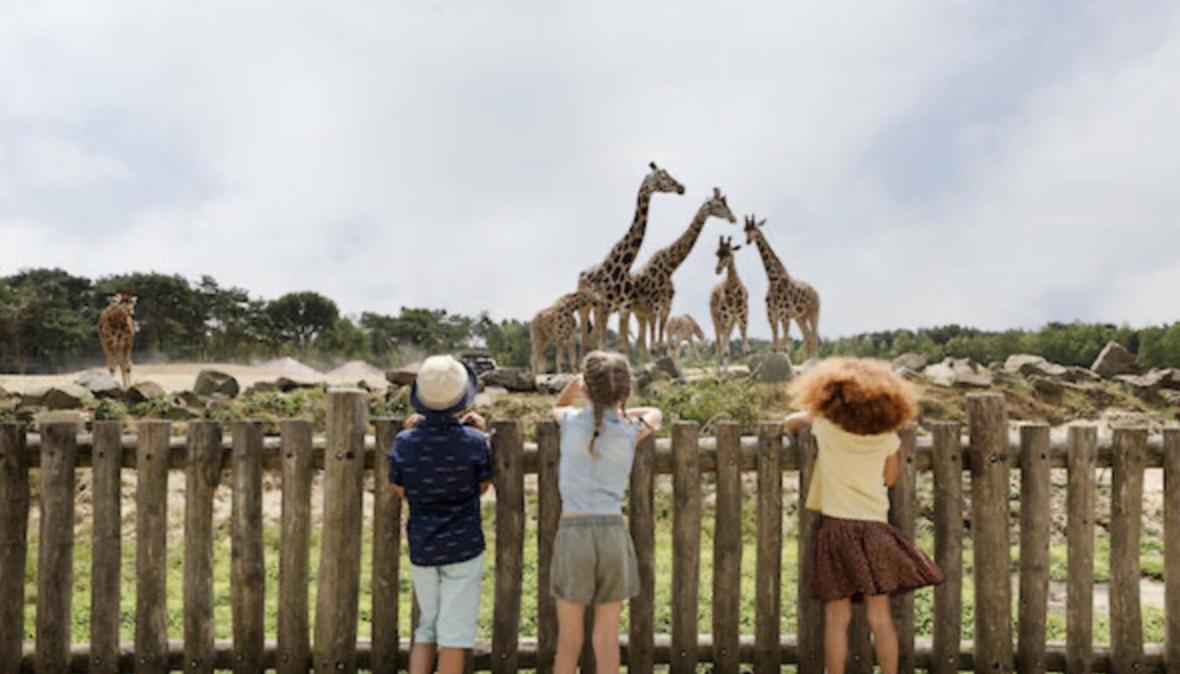 אויסטרוויק 29, Natuurlijk Gelegen Nabij Efteling En Beekse Bergen, Airco & Prive Parkeren Inbegrepen! מראה חיצוני תמונה
