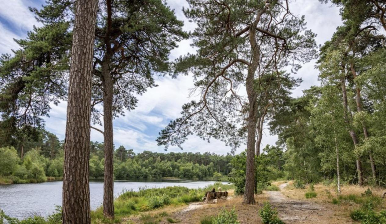 אויסטרוויק 29, Natuurlijk Gelegen Nabij Efteling En Beekse Bergen, Airco & Prive Parkeren Inbegrepen! מראה חיצוני תמונה