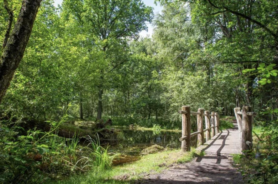אויסטרוויק 29, Natuurlijk Gelegen Nabij Efteling En Beekse Bergen, Airco & Prive Parkeren Inbegrepen! מראה חיצוני תמונה